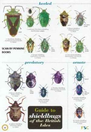 Guide to Shieldbugs of the British Isles de Bernard Nau