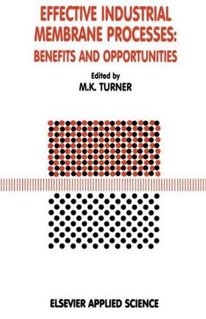 Effective Industrial Membrane Processes: Benefits and Opportunities de M.K. Turner