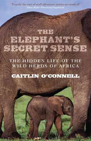 The Elephant's Secret Sense de Caitlin O'Connell