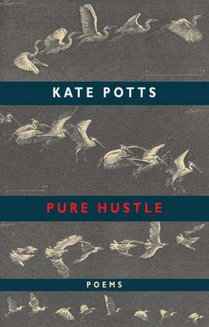 Pure Hustle de Kate Potts