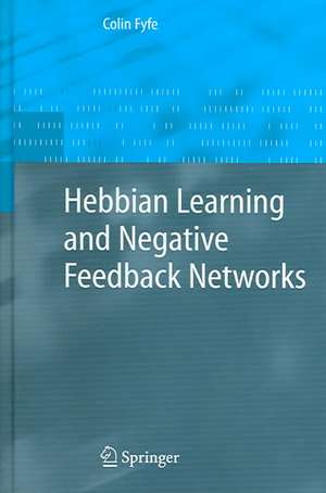 Hebbian Learning and Negative Feedback Networks de Colin Fyfe