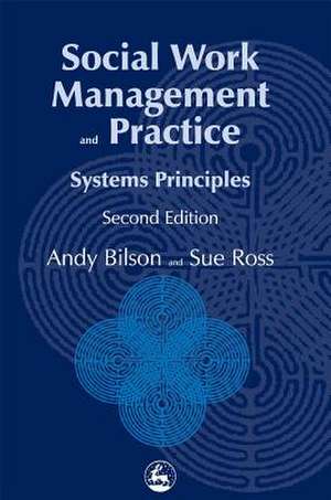 Social Work Management and Practice: Systems Principles Second Edition de Andy Bilson