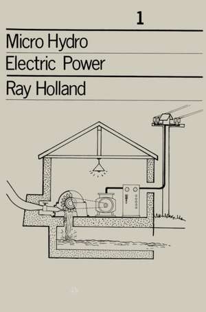 Micro-hydro Electric Power de Ray Holland