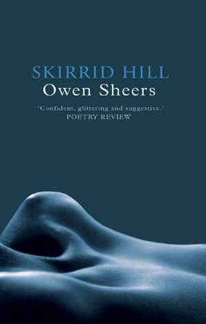 Skirrid Hill de Owen Sheers