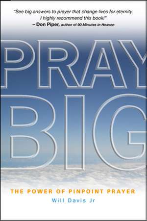 Pray Big – The power of pinpoint prayer de Scott Dawson