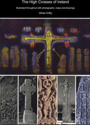 The Great Irish Crosses: Meaning and Mystery de Oliver Crilly