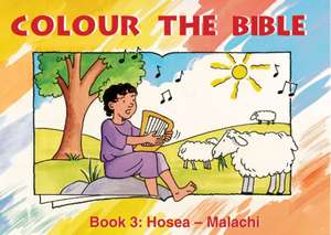 COLOUR THE BIBLE BK 3 REV/E