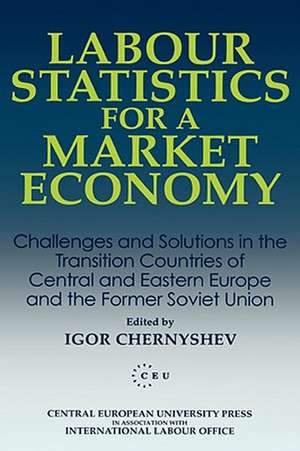 Labour Statistics for a Market Economy de Chernyeshev