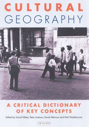 Cultural Geography: A Critical Dictionary of Key Concepts de David Atkinson