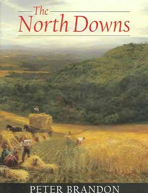 The North Downs de Peter Brandon