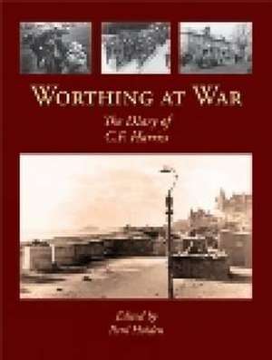 Worthing at War de Paul Holden