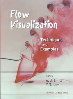 Flow Visualization: Techniques and Examples de A. J. Smits