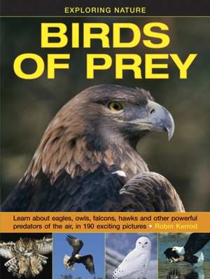 Exploring Nature: Learn about Eagles, Owls, Falcons, Hawks and Other Powerful Predators of the Air, in 190 Exciting Pictures de Robin Kerrod