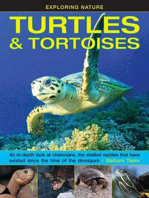 Exploring Nature: Turtles & Tortoises de Taylor Barbara