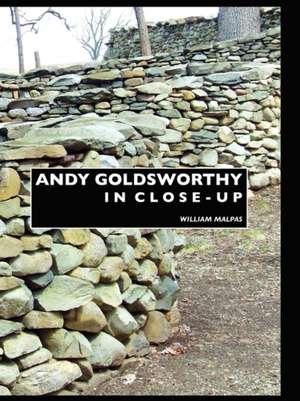 Andy Goldsworthy in Close-Up de William Malpas