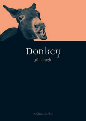 Donkey de Jill Bough