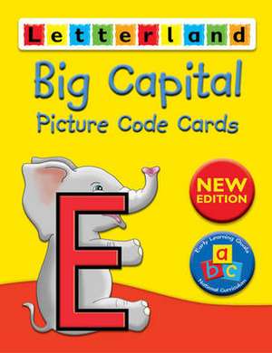 Big Capital Picture Code Cards de Lyn Wendon