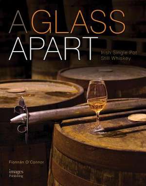 Glass Apart de Fionnan O'Connor