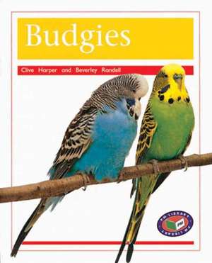 Budgies PM Non Fiction Amimal Facts Level 16 Pets Orange de Clive Harper