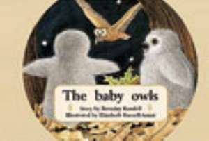 The Baby Owls PM Red 2 Fiction de Beverley Randell