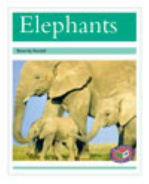 Elephants PM Non Fiction Level 18&19 Turquoise: Animal Facts Animals in the Wild de BEVERLEY RANDELL