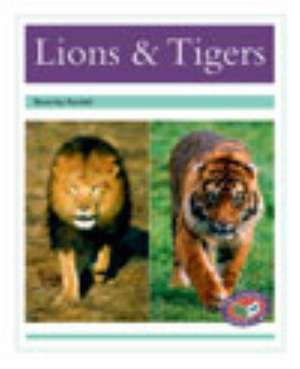 Lions and Tigers PM Non Fiction Level 18&19 Turquoise: Animal Facts Animals in the Wild de BEVERLEY RANDELL