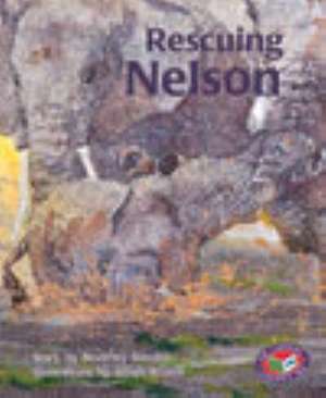 Rescuing Nelson PM Set B Turquoise de Beverley Randell