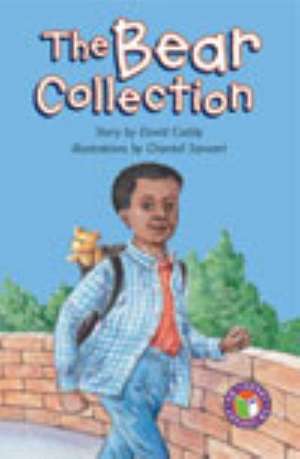 The Bear Collection PM Chapter Books Level 28 Set B Ruby de David Caddy