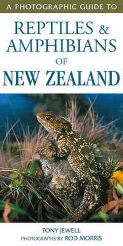 A Photographic Guide to Reptiles & Amphibians of New Zealand de Tony Jewell