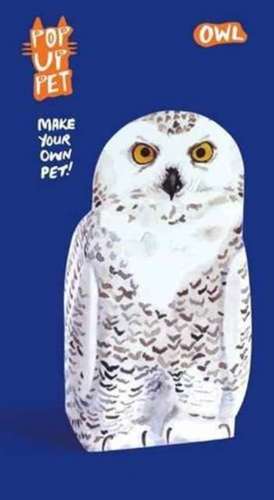 Pop Up Pet Owl