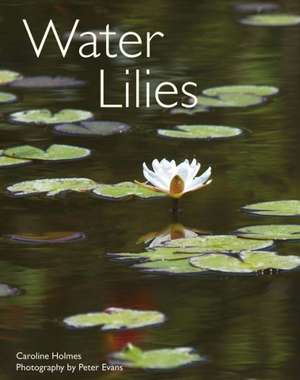 Water Lilies de Caroline Holmes