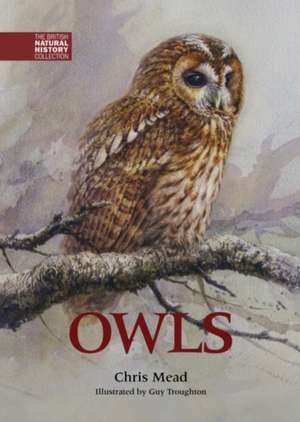 Owls de Chris Mead