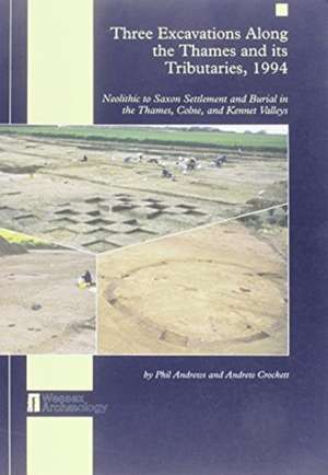 Three Excavations Along the Thames and Its Tributaries, 1994 de Phil Andrews