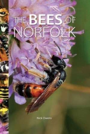 Bees of Norfolk de Nick Owens