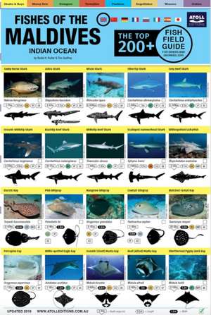 Maldives Fish Field Guide "Top 200+" de Rudie Kuiter