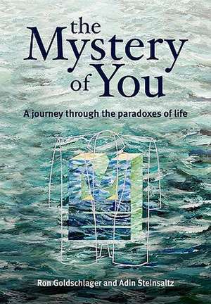 The Mystery of You de Ron Goldschlager