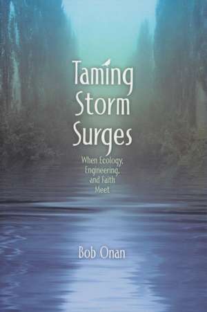 Taming Storm Surges de Bob Onan