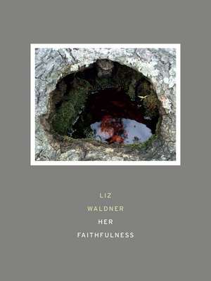 Her Faithfulness de Liz Waldner