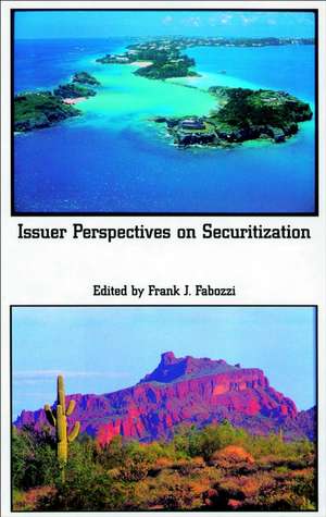 Issuer Perspectives on Securitization de FJ Fabozzi