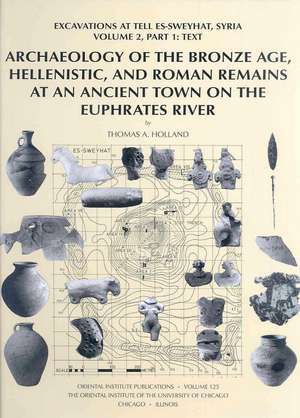 Archaeology of the Bronze Age, Hellenistic, and Roman Remains at an Ancient Town on the Euphrates River: Excavations at Tell Es-Sweyhat, Syria Volume de Thomas A. Holland