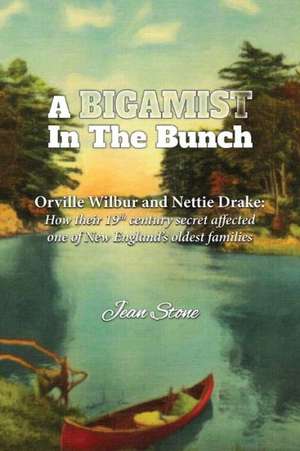 A Bigamist in the Bunch: How Their 19th Century Secret Affected One of New England's Oldest Families de Jean Stone