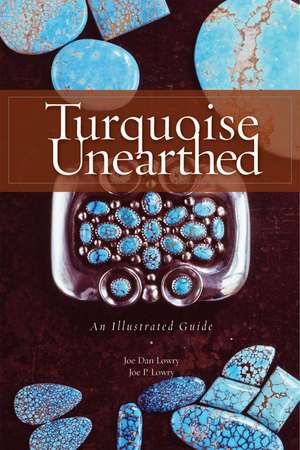 Turquoise Unearthed de Joe Dan Lowry