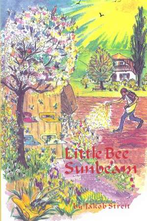 Little Bee Sunbeam: Reaching Teenagers Through Literature de Jakob Streit