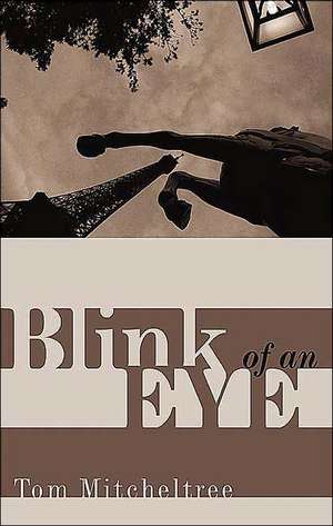 Blink of an Eye de Tom Mitcheltree