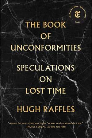 The Book of Unconformities de Hugh Raffles