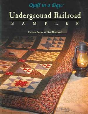 Underground Railroad Sampler de Eleanor Burns