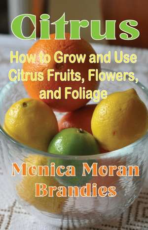 Citrus de Monica Moran Brandies