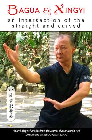 Bagua and Xingyi de Kevin Craig