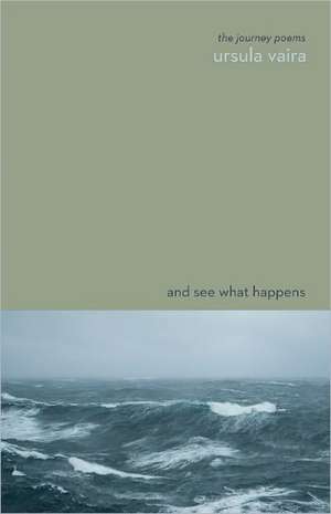 And See What Happens de Ursula Vaira