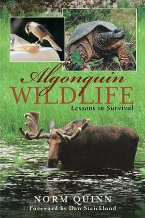 Algonquin Wildlife de Norm Quinn